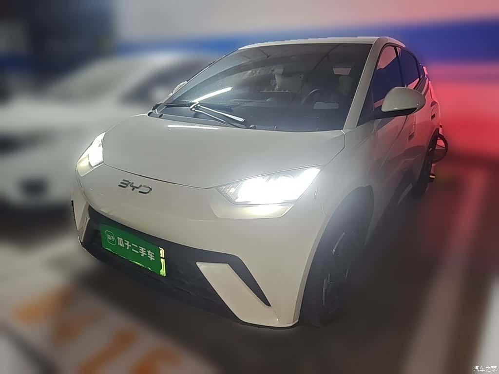 BYD Seagull, 2024 2