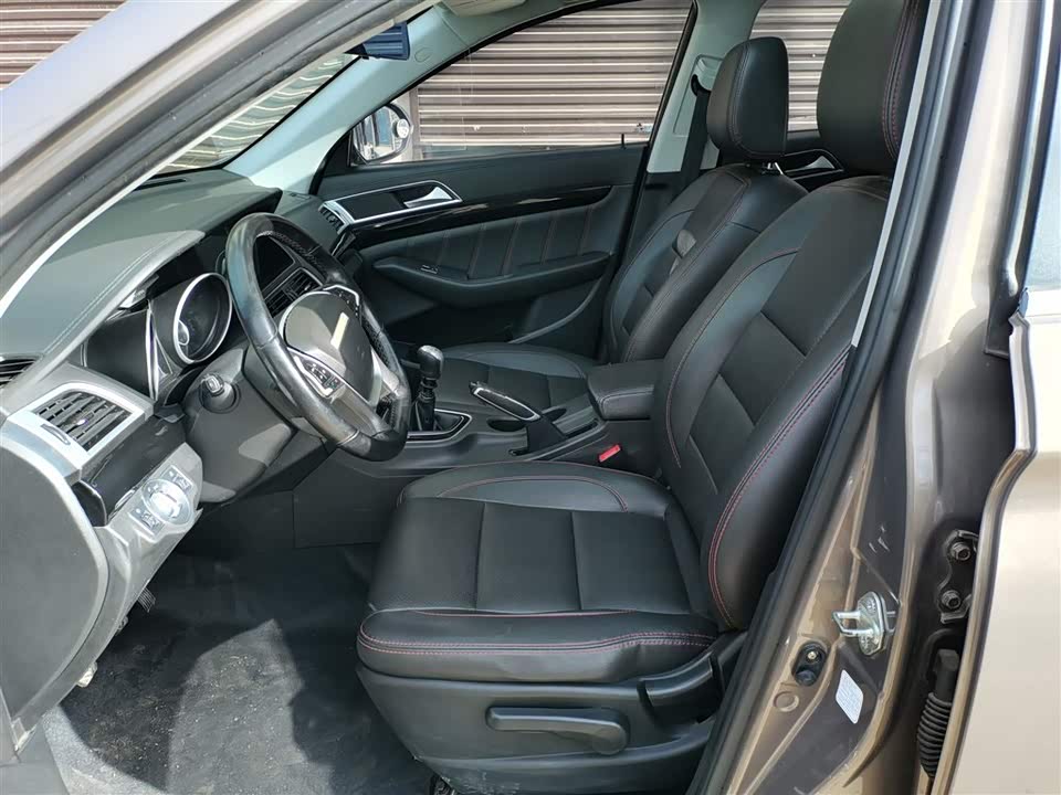 Leopaard Cheetah CS10