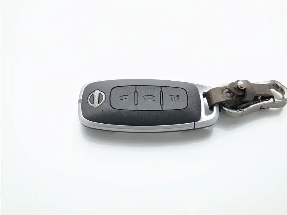 Nissan Exploring the land