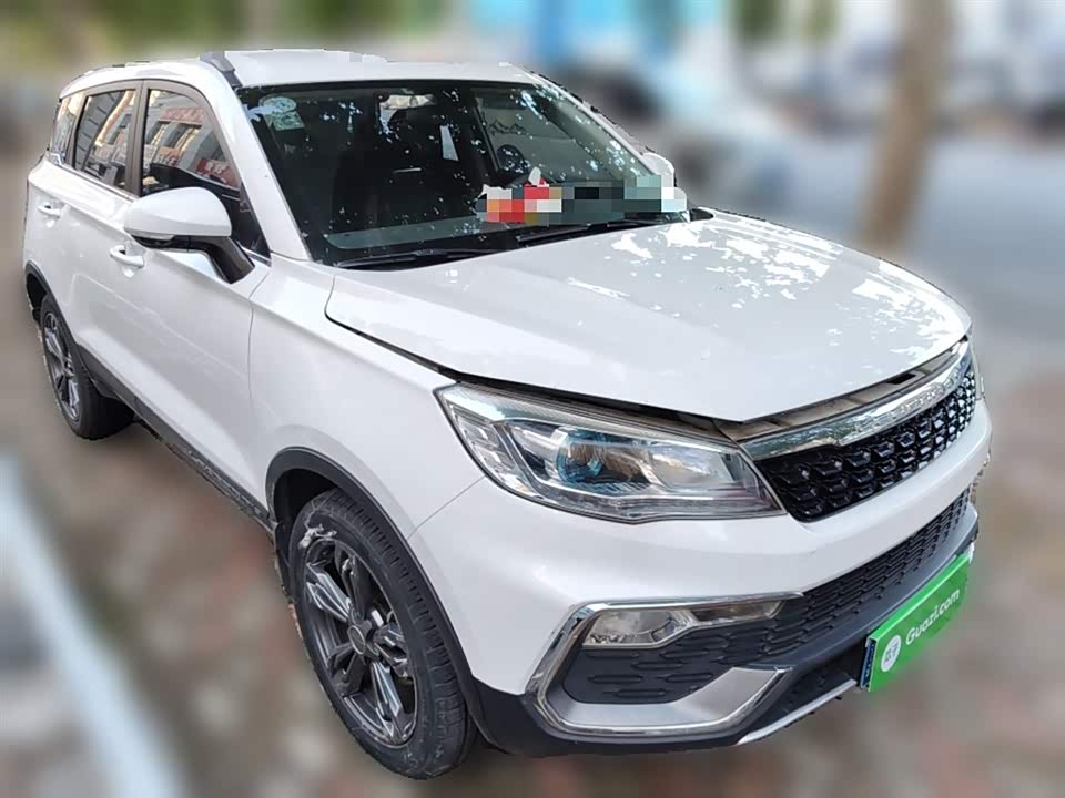 Leopaard Cheetah CS9