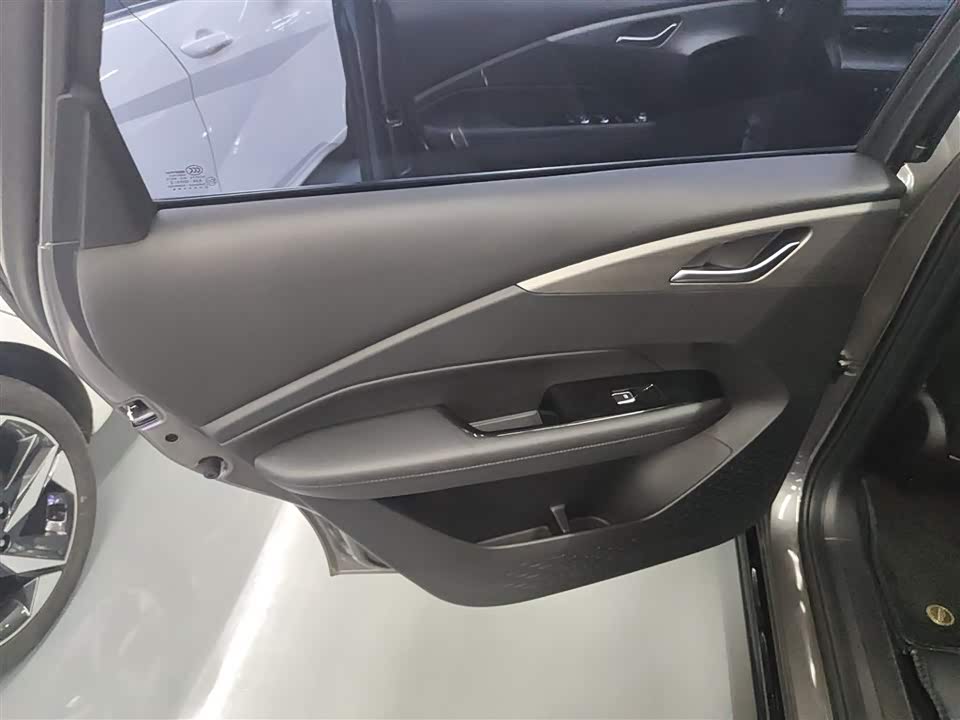 Wuling Wuling Starlight