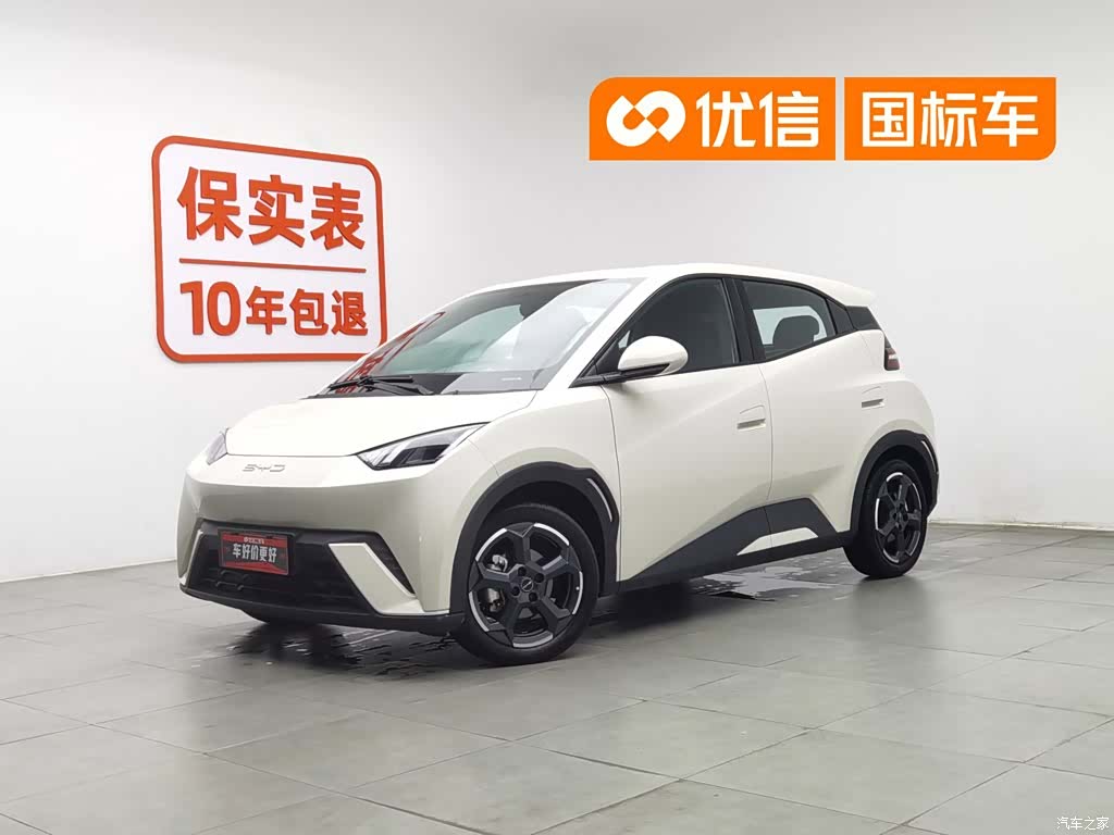 BYD Seagull, 2023 1