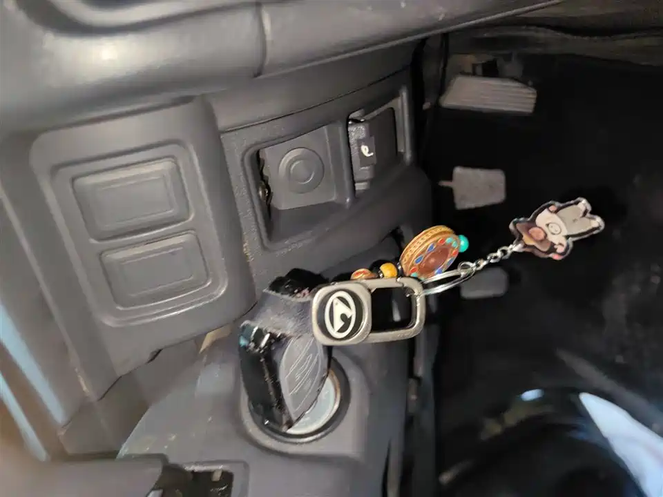 Leopaard Black King Kong