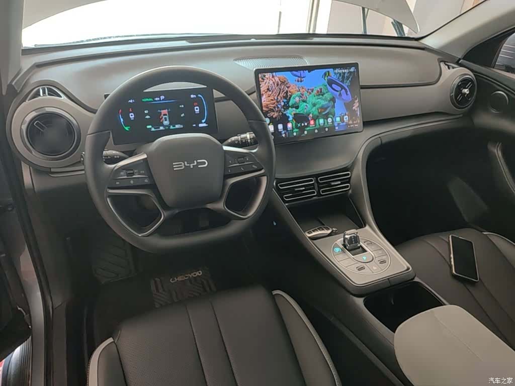 BYD HiAce, 2025 10