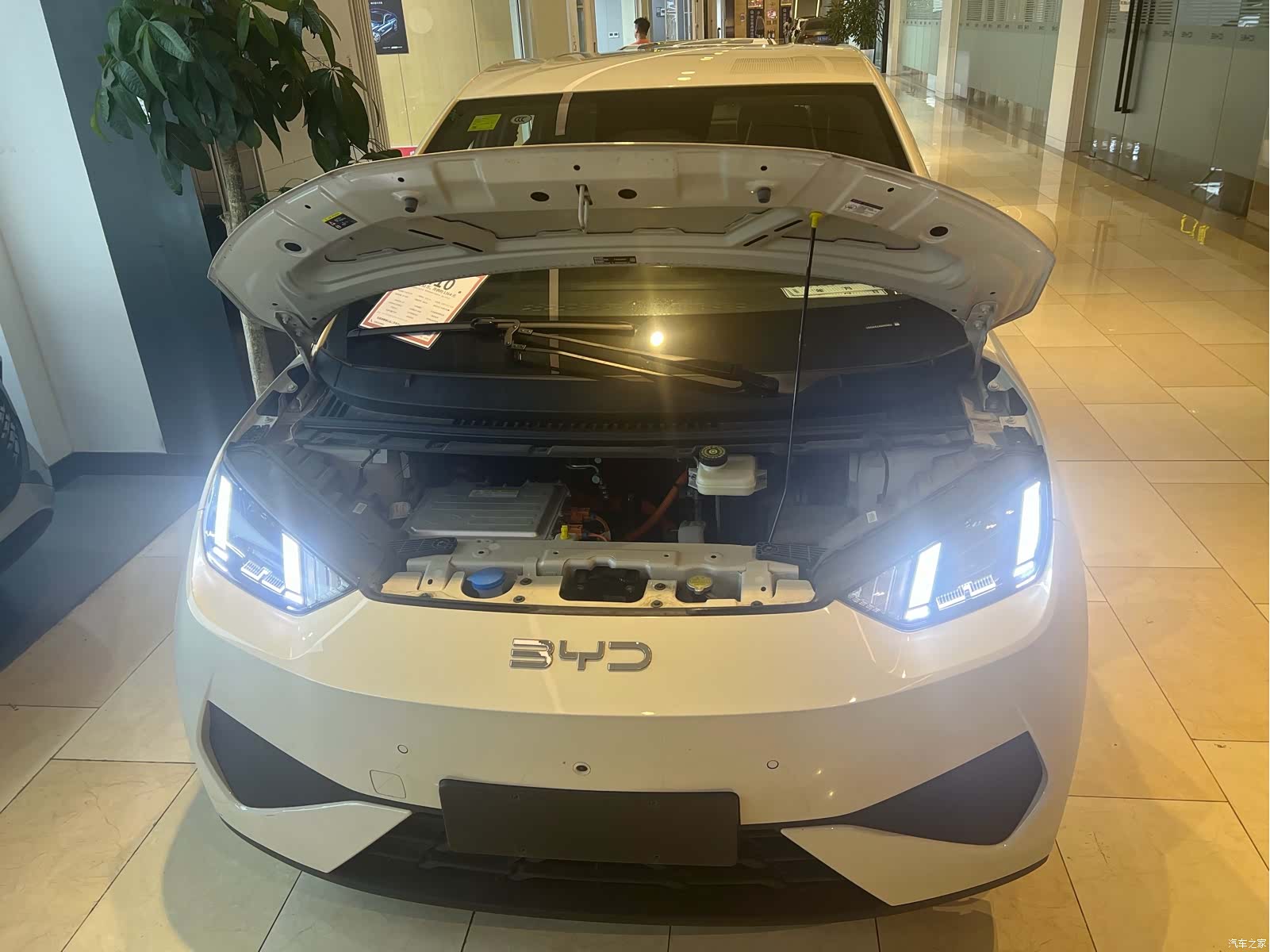 BYD Seagull, 2025 3