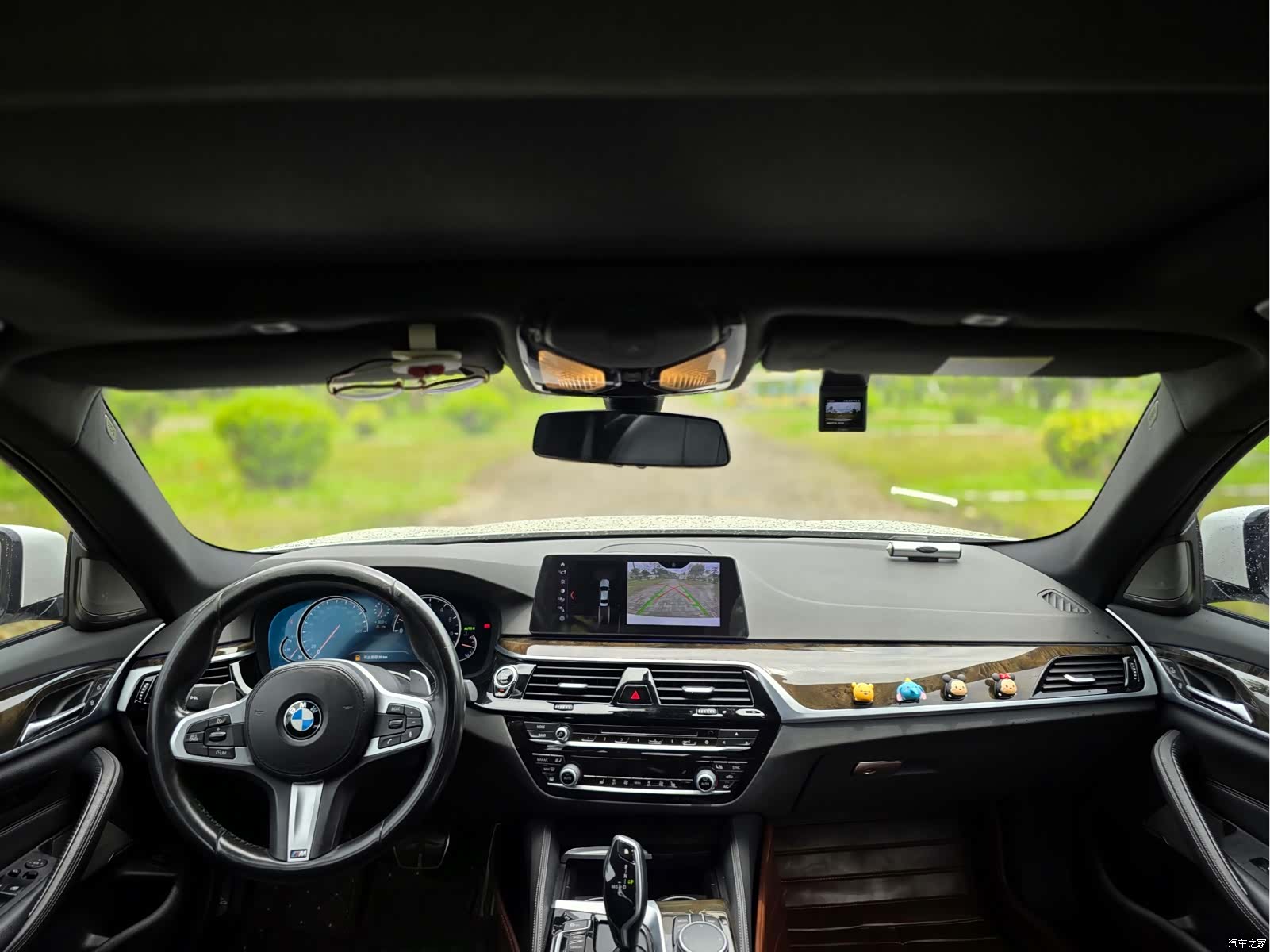 BMW 5 Series, 2017 все фото