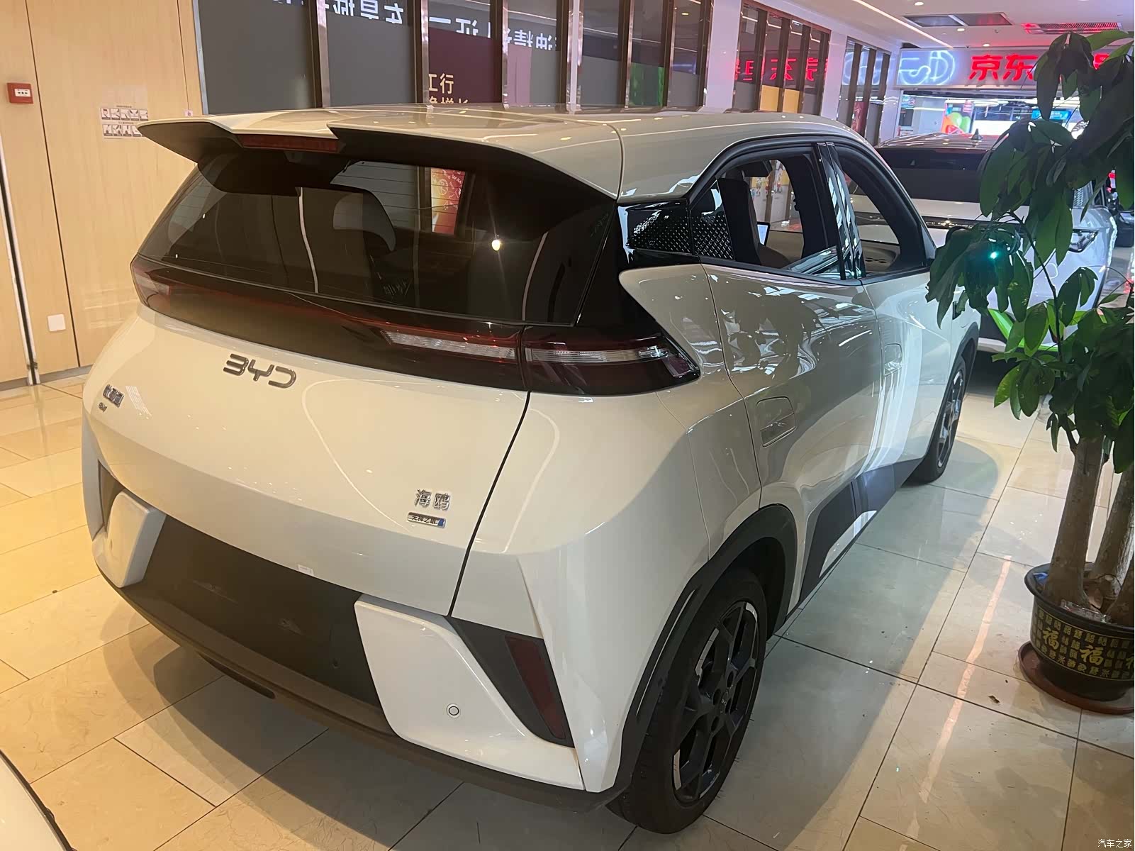 BYD Seagull, 2025 4