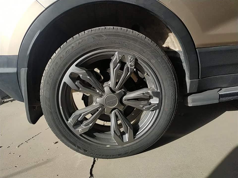 Leopaard Cheetah CS9