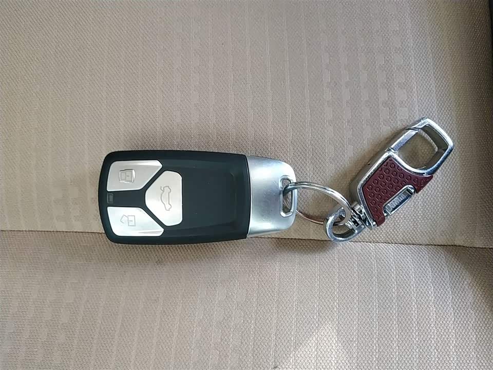 Leopaard Cheetah CS9