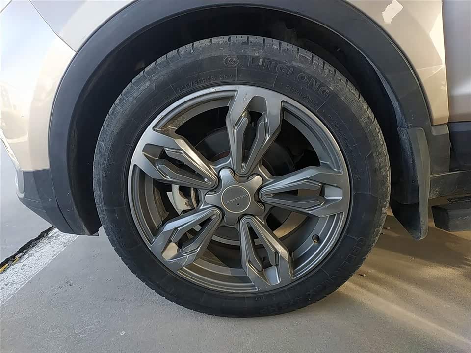 Leopaard Cheetah CS9