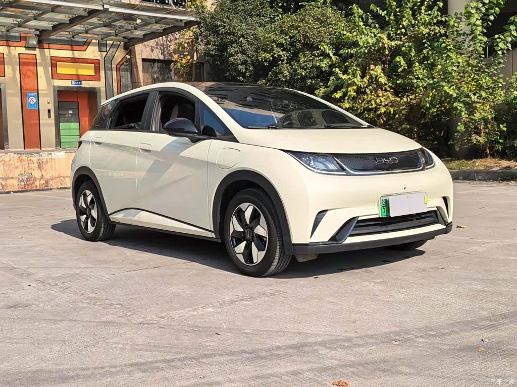 BYD Dolphin, 2025 10