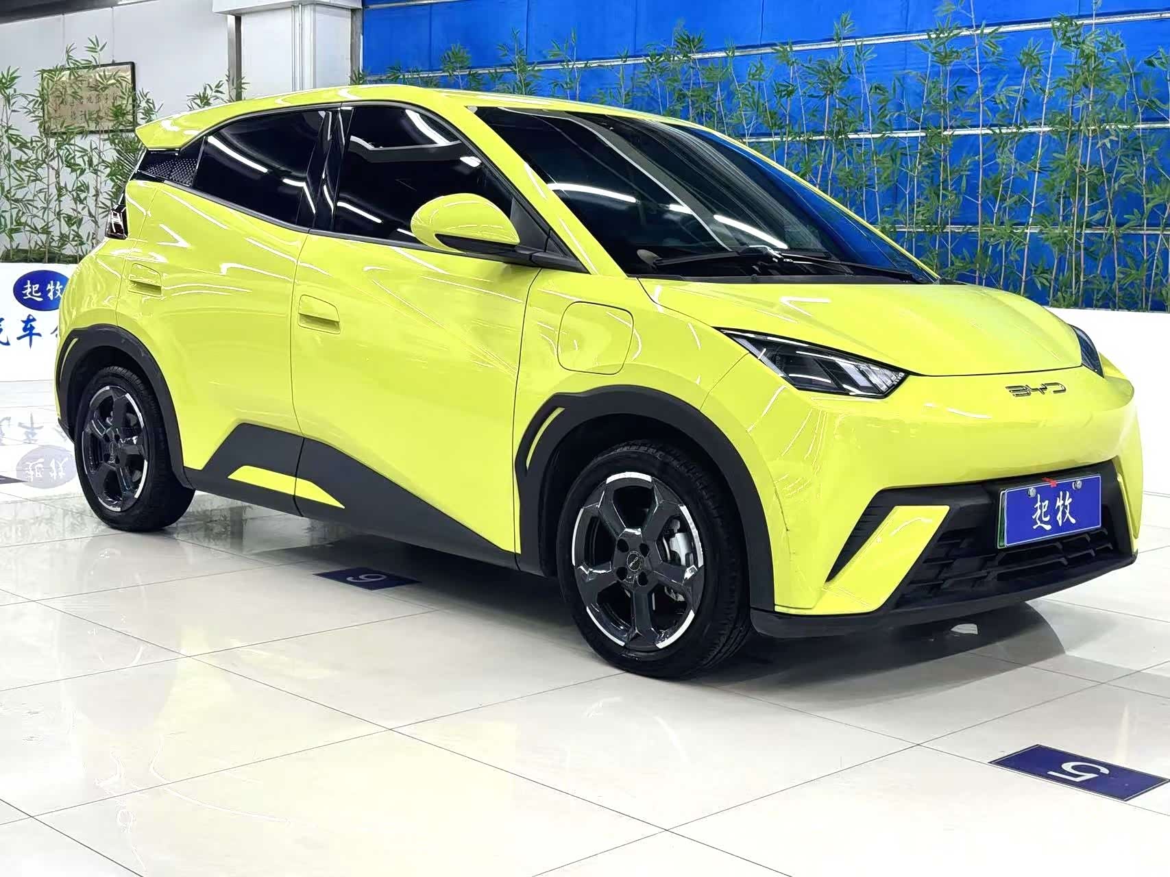 BYD Seagull, 2023 3