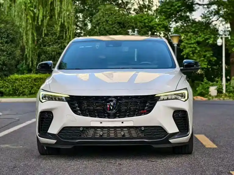 Buick Weilang
