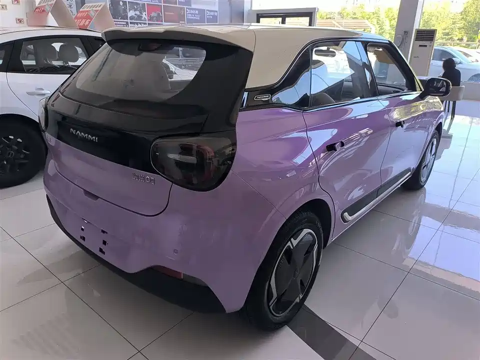 Dongfeng Nammi Nano 01