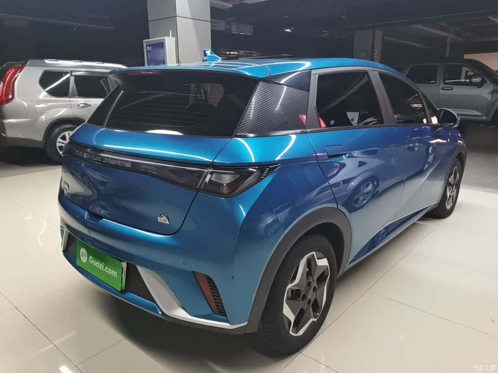 BYD Dolphin, 2022 7