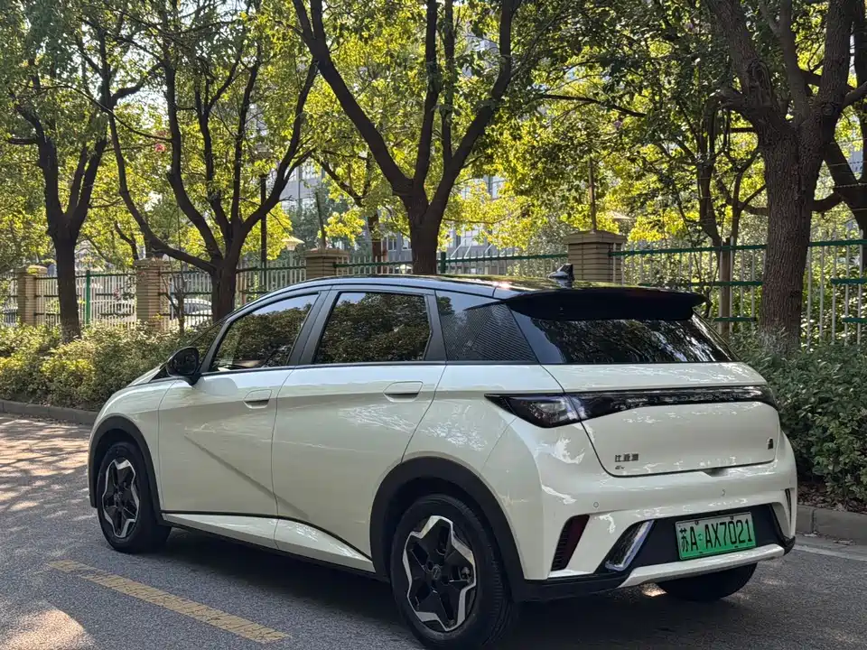 BYD dolphin