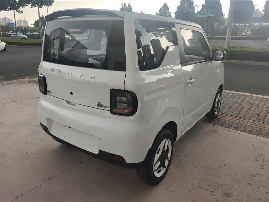 Geely Galaxy panda