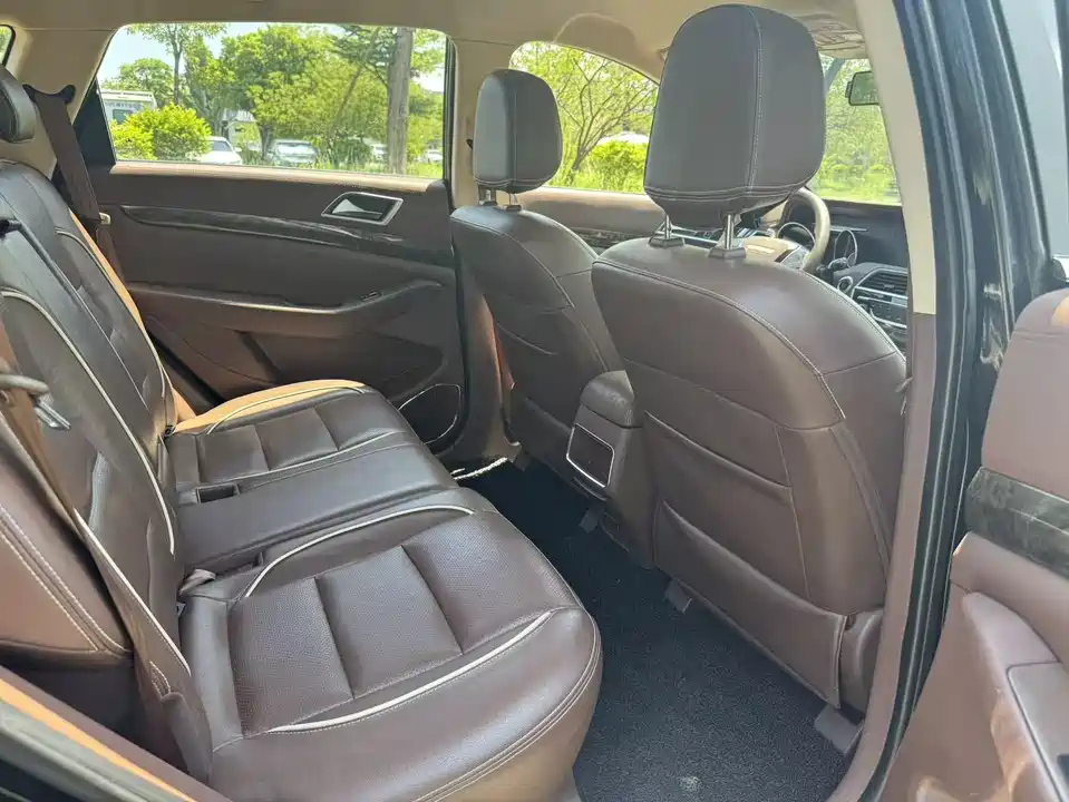 Leopaard Cheetah CS10