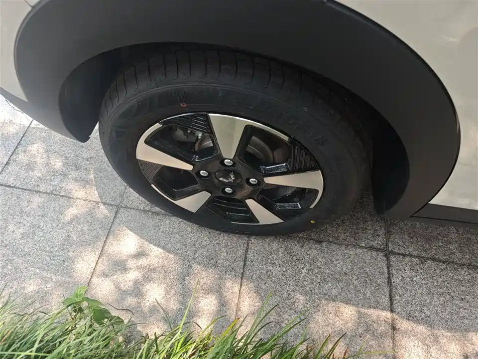 Wuling Wuling Bingguo PLUS