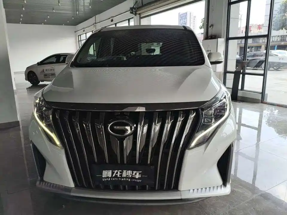 Trumpchi Trumpchi M8