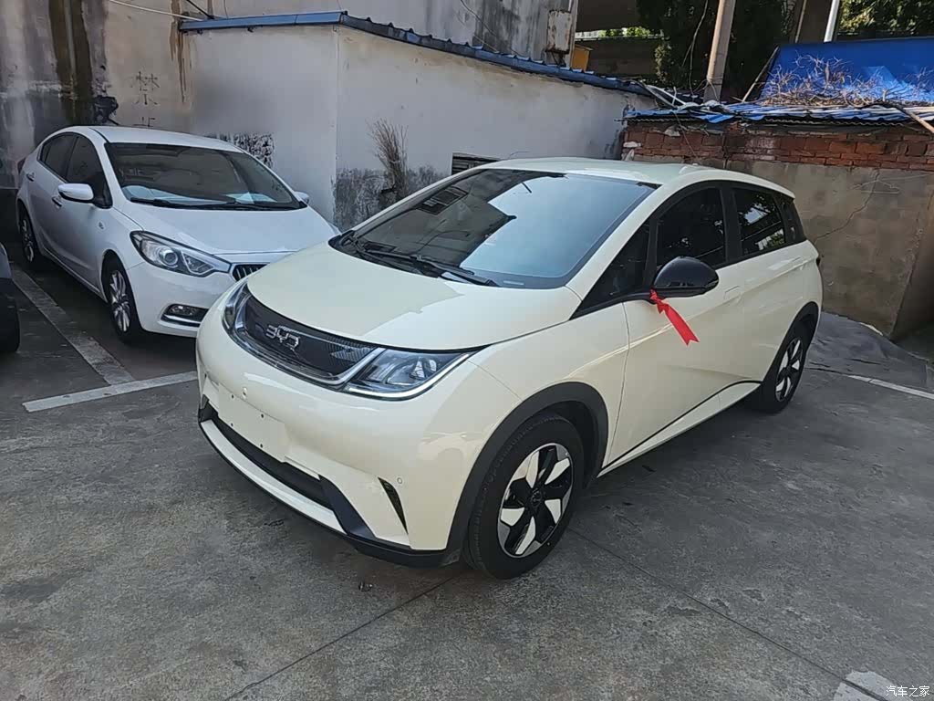 BYD Dolphin, 2025 1
