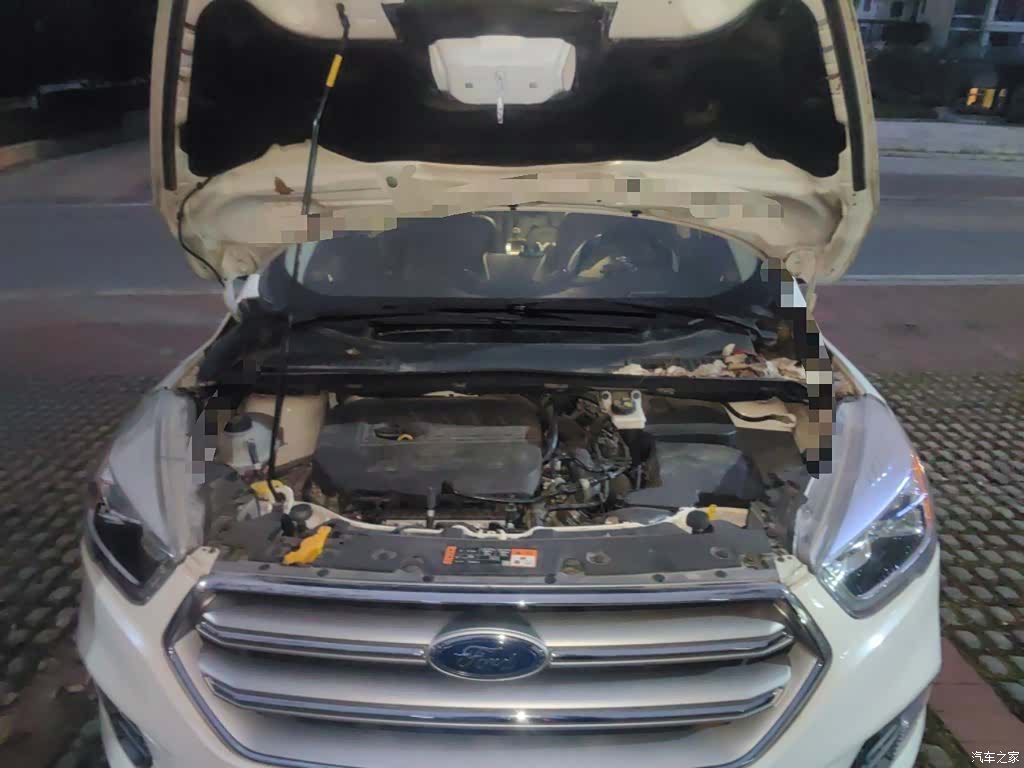 Ford Kuga, 2019 11