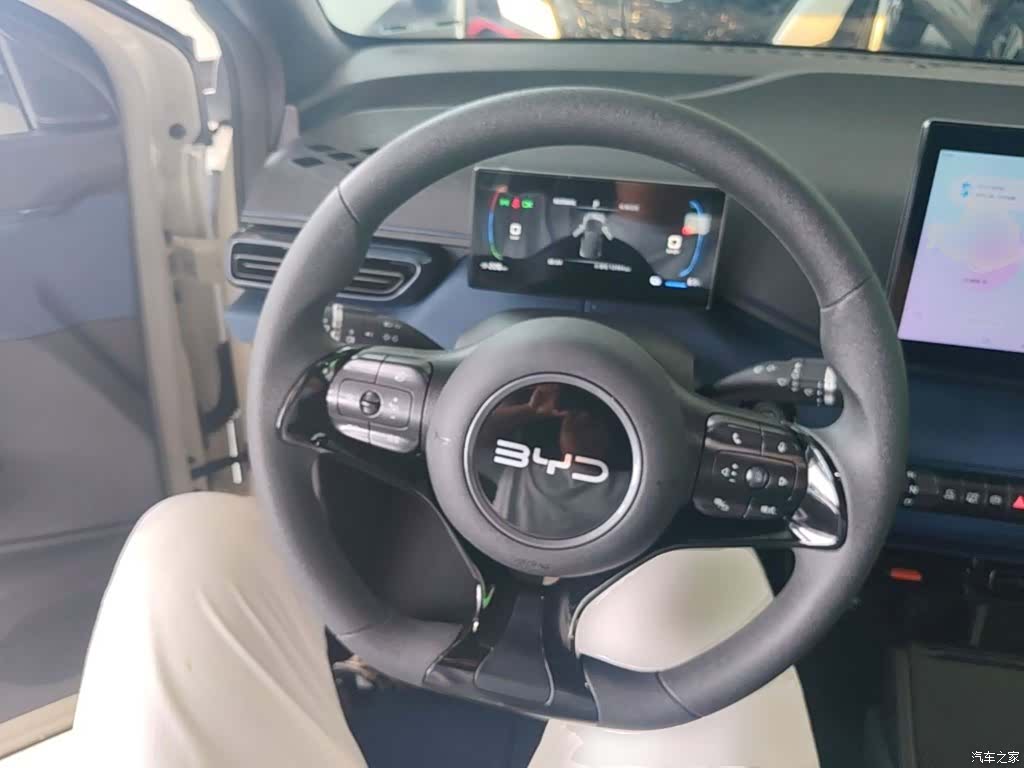 BYD Seagull, 2024 10
