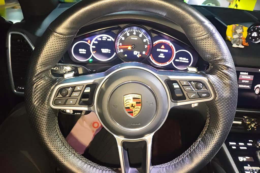 Porsche Cayenne, 2021 15