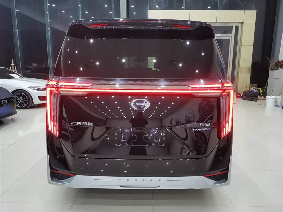 Trumpchi Trumpchi M8