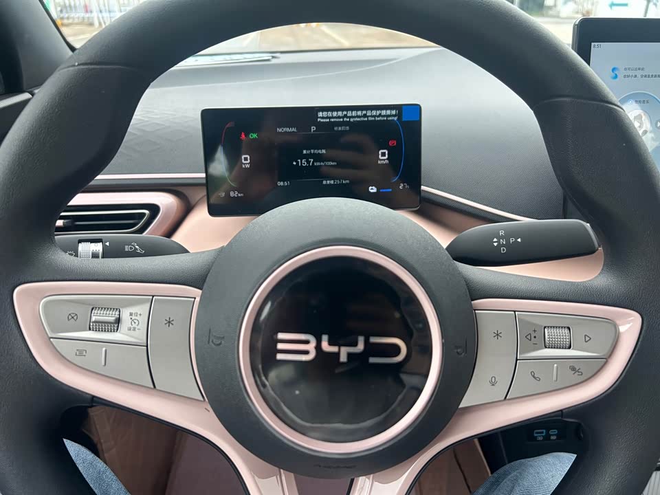 BYD Seagull