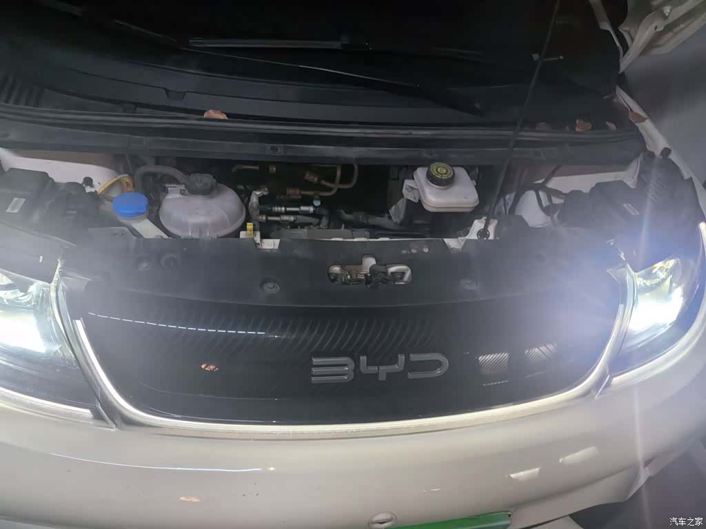 BYD Dolphin, 2024 11