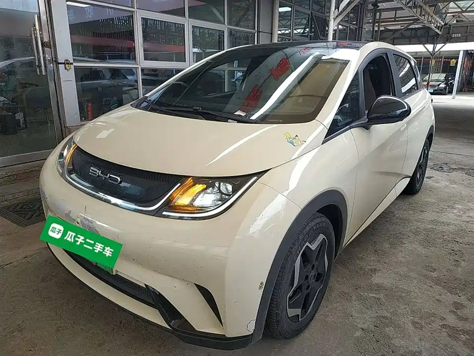 BYD dolphin