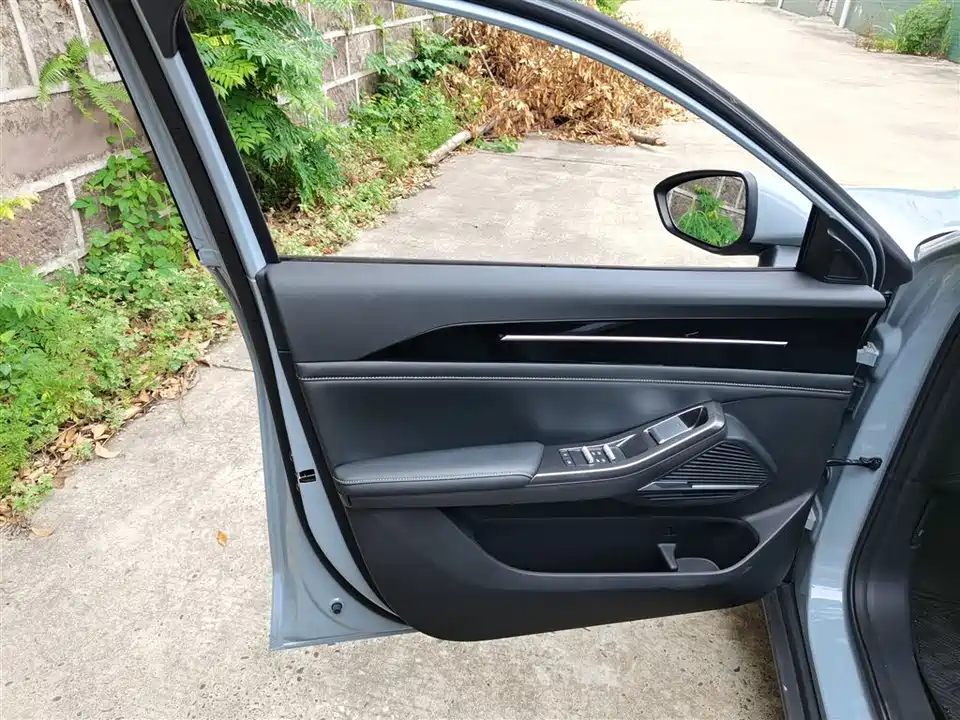 Geely Galaxy Galaxy L6