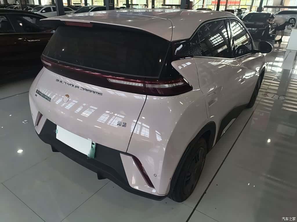 BYD Seagull, 2024 все фото