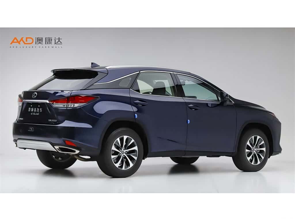Lexus RX, 2022 3