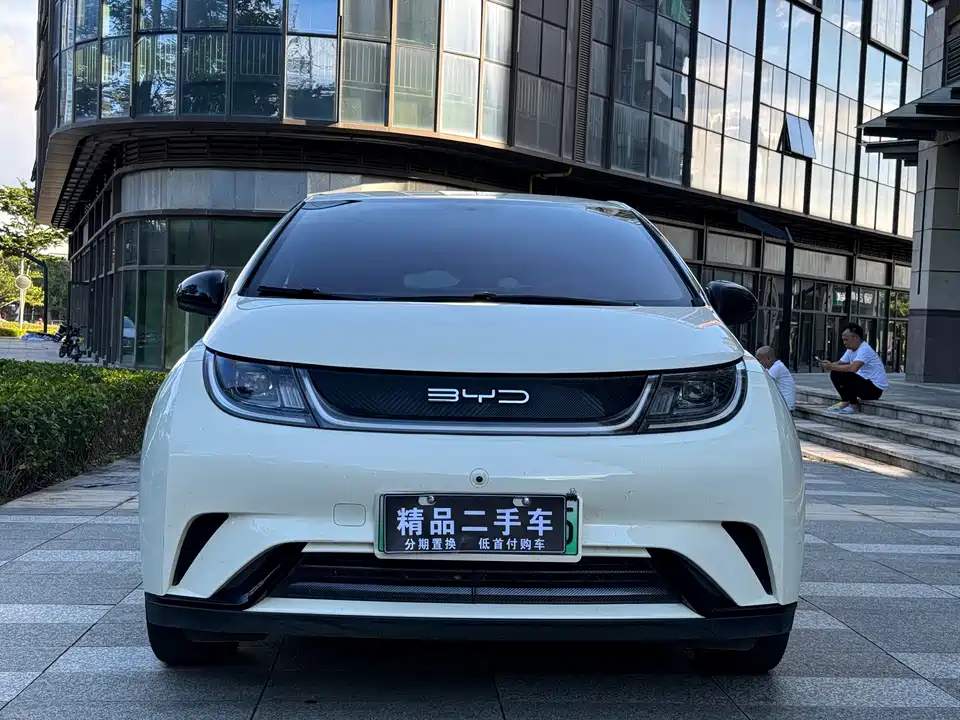 BYD dolphin