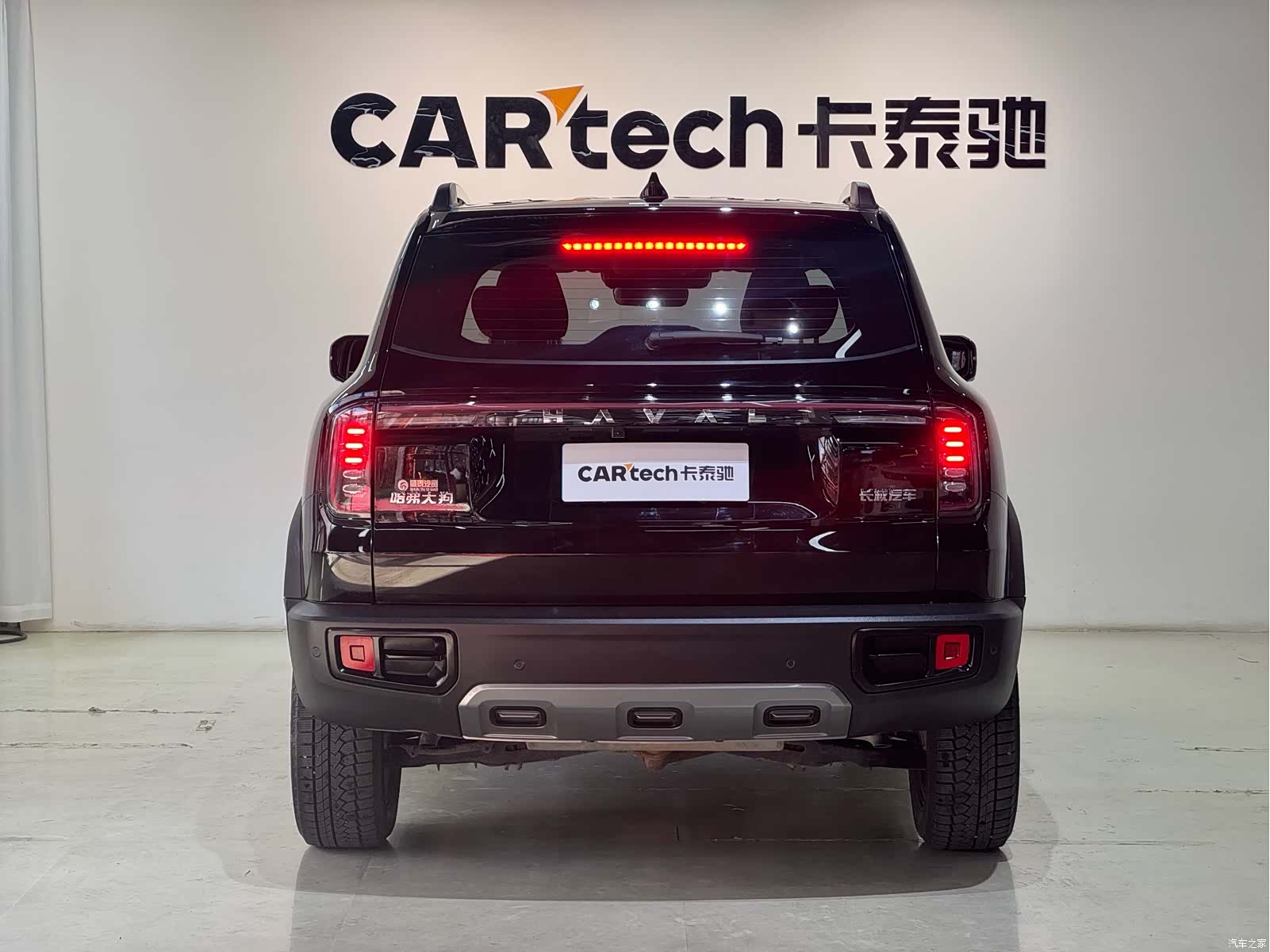 Haval Big Dog, 2024 все фото