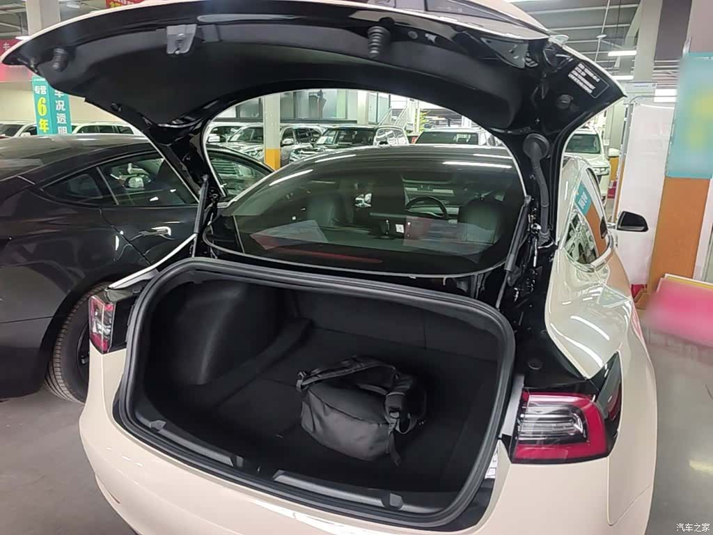 Tesla Model 3, 2020 19