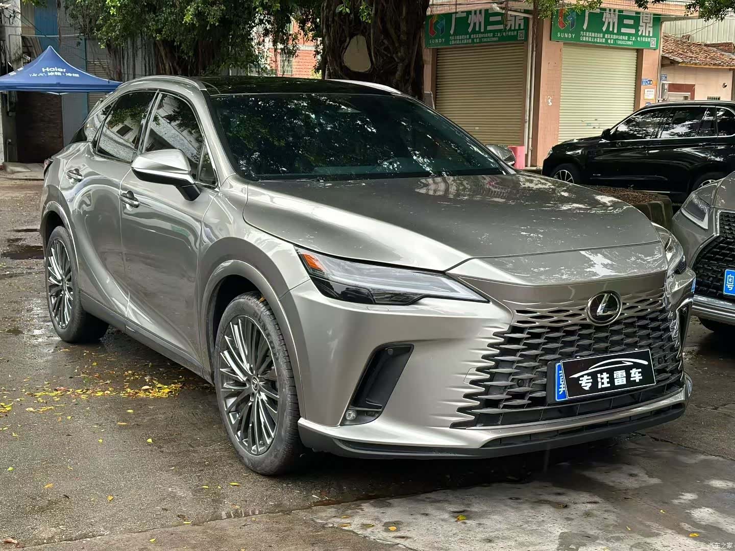 Lexus RX, 2023 2