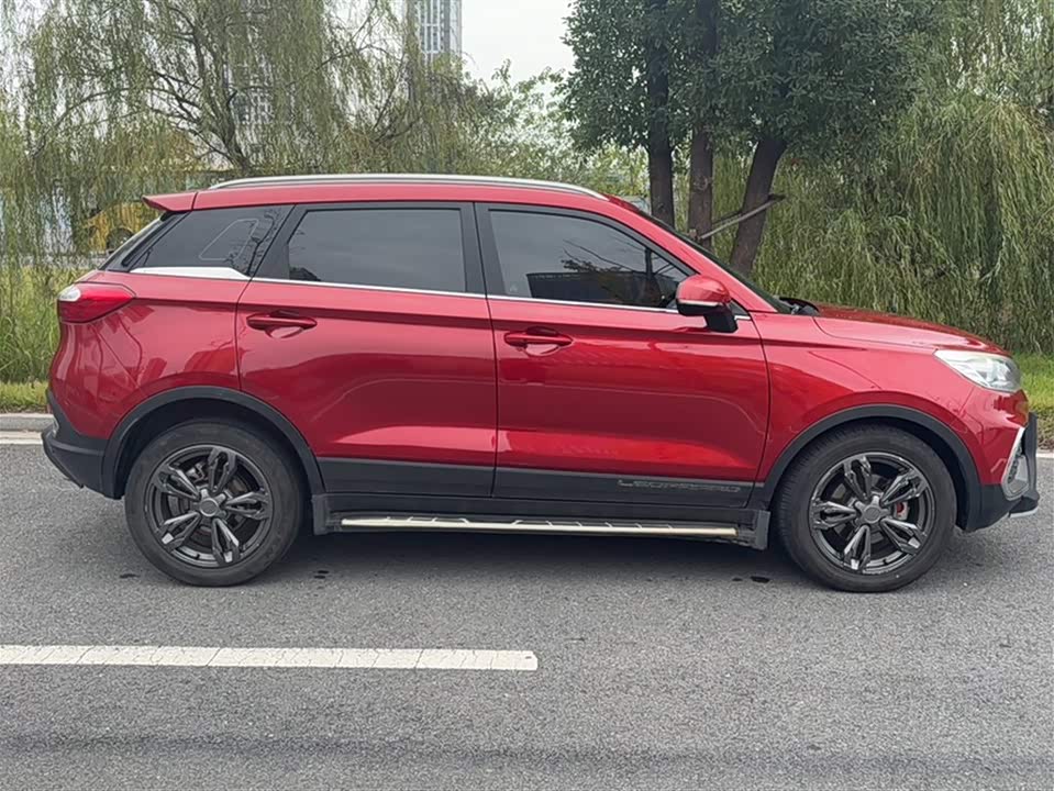 Leopaard Cheetah CS9