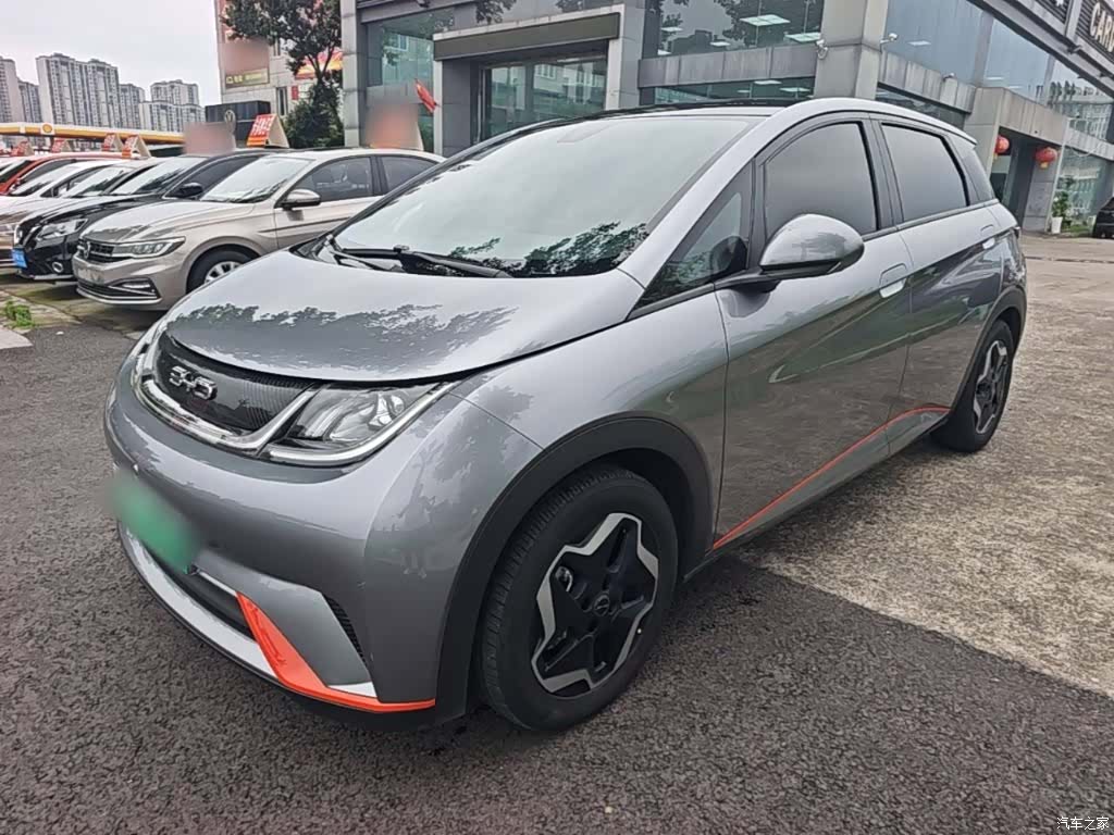 BYD Dolphin, 2022 1