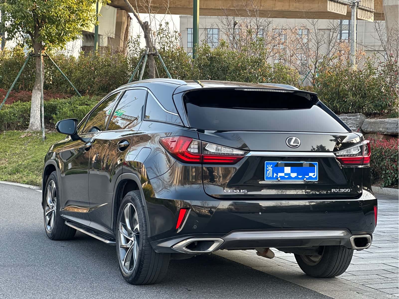 Lexus RX, 2018 4