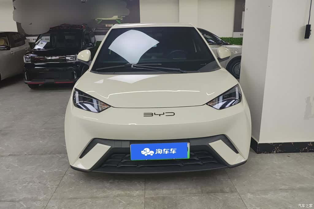 BYD Seagull, 2024 2