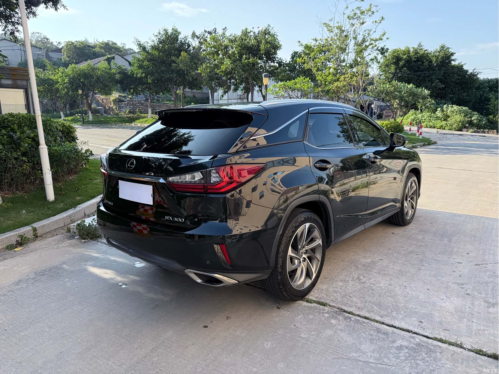 Lexus RX, 2019 4