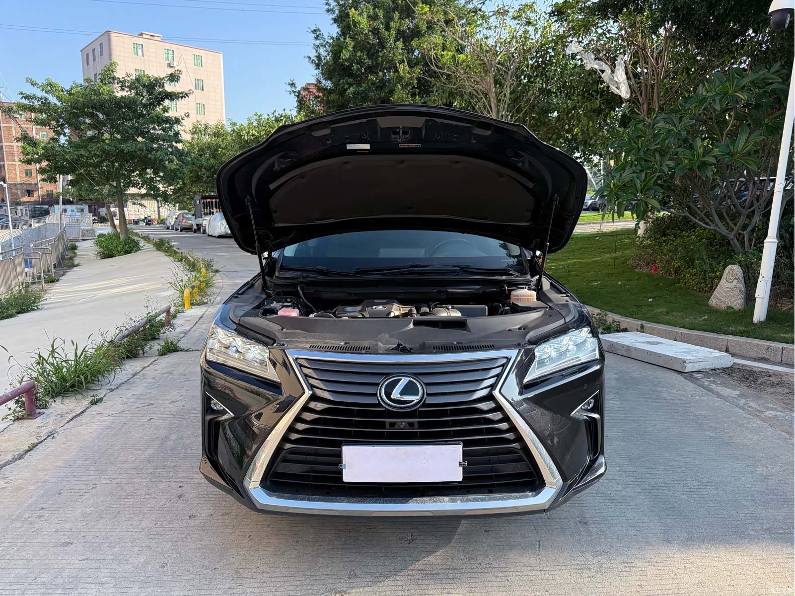 Lexus RX, 2019 14