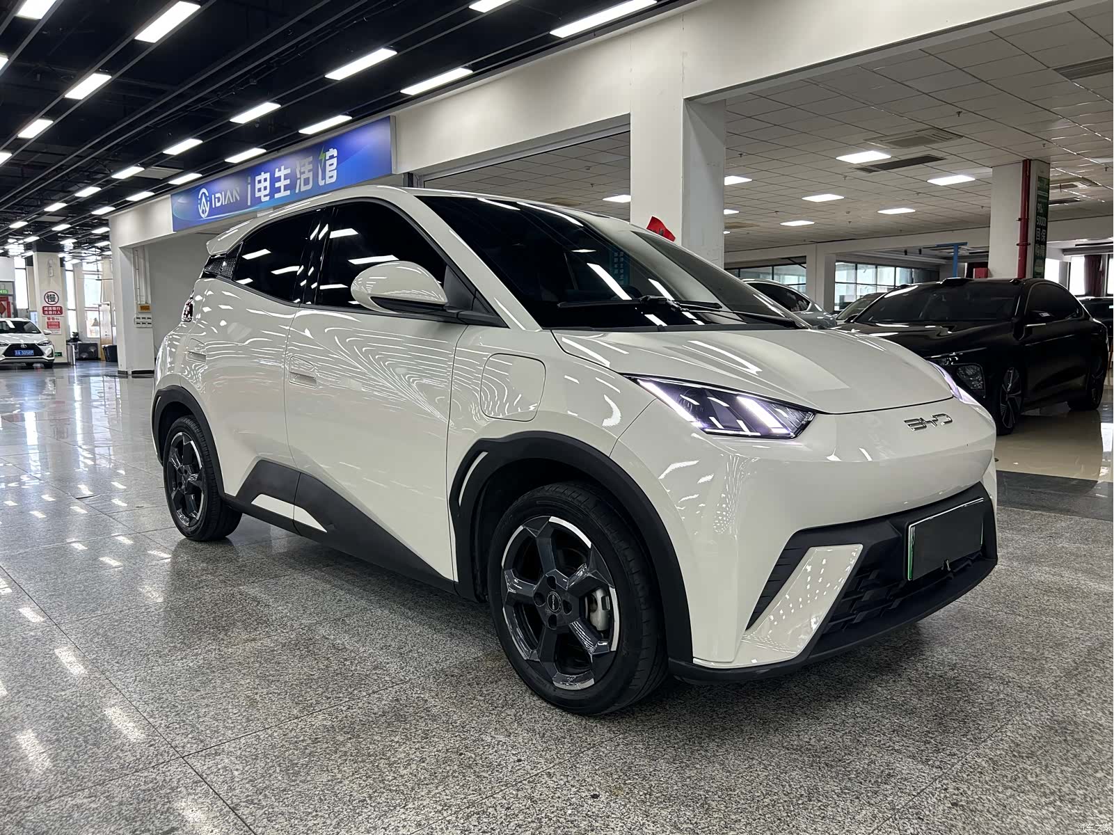 BYD Seagull, 2023 2