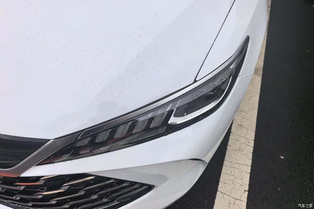 BYD Qin, 2025 все фото