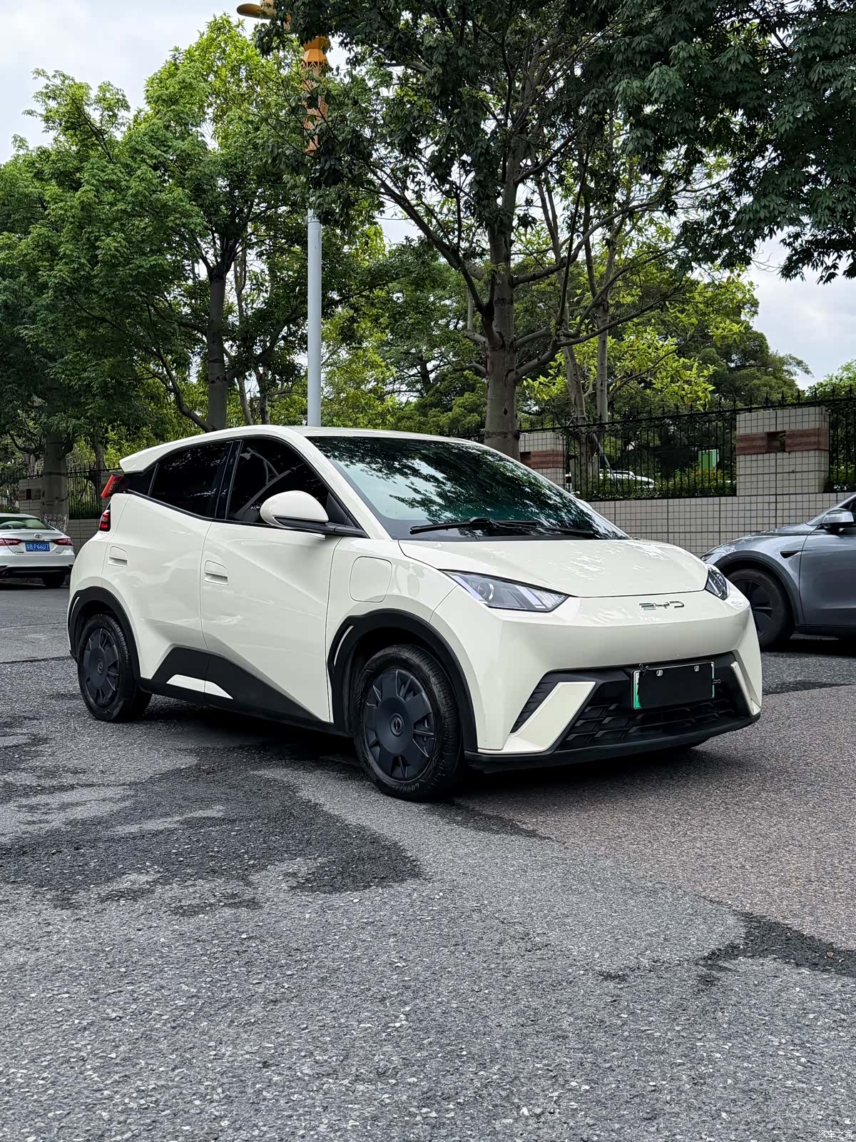 BYD Seagull, 2024 3