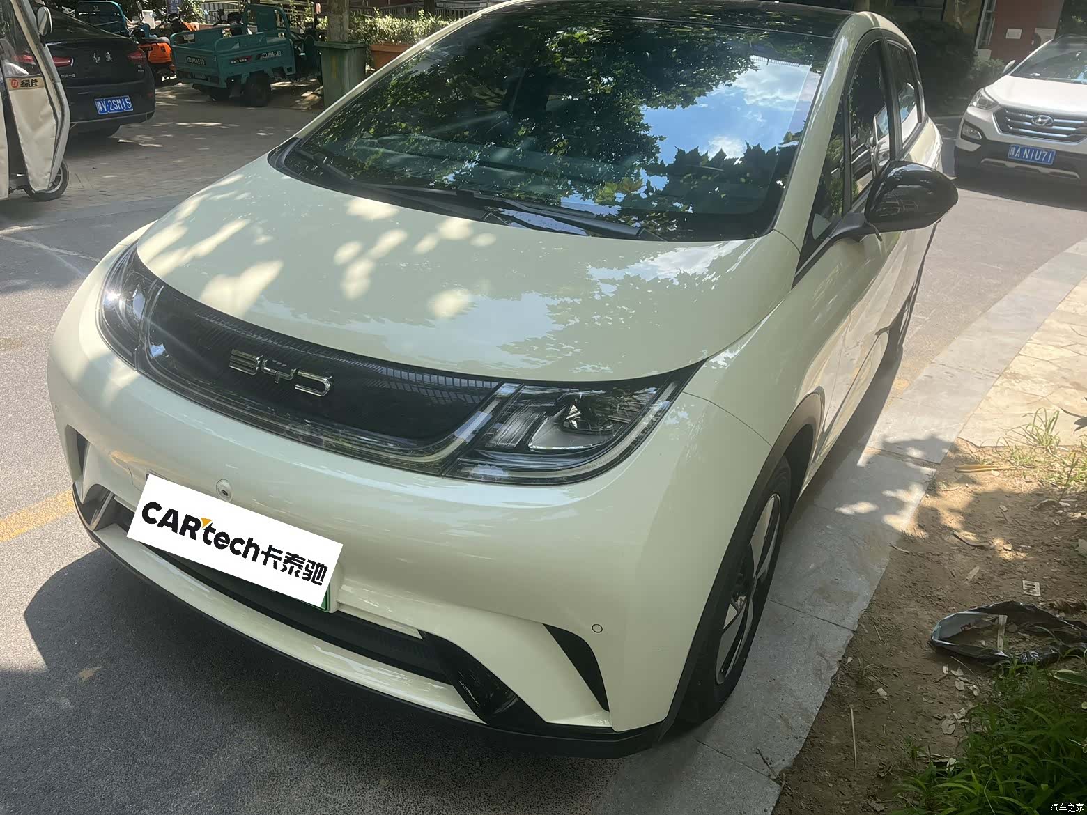 BYD Dolphin, 2023 1