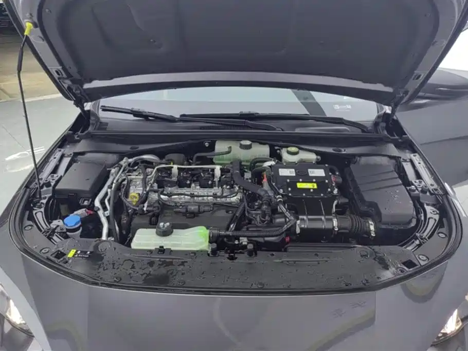 Trumpchi Shadow Leopard